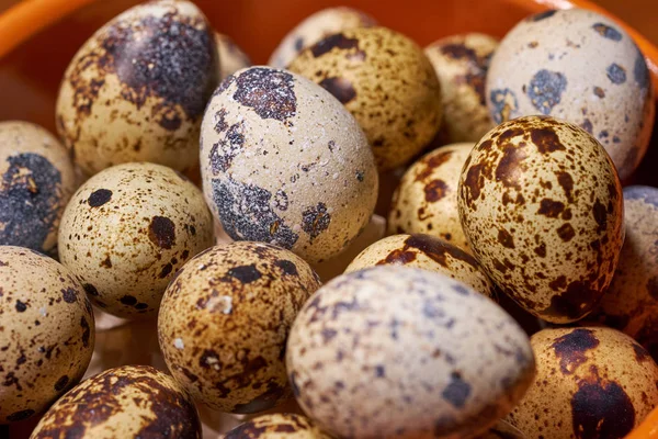 Quail eggs on brown wooden background. Selective focus — Stock Photo, Image