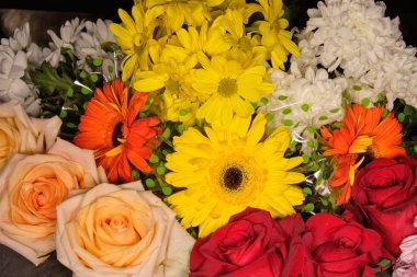 Gri arka plan üzerinde renkli çiçekler. Buket çiçek. Seçici odak