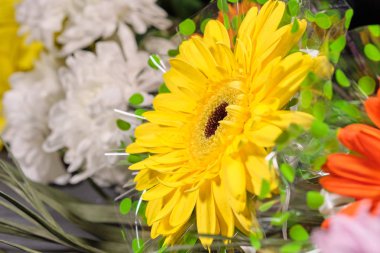 Gri arka plan üzerinde renkli çiçekler. Buket çiçek. Seçici odak