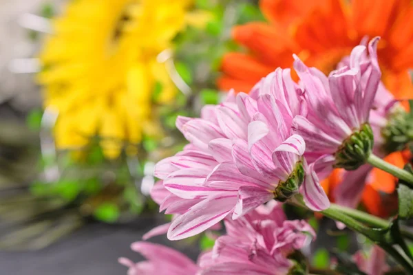 Kolorowe kwiaty na szarym tle. Bukiet kwiatów — Zdjęcie stockowe