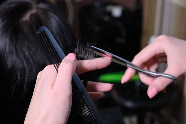 Hairdresser makes a hairstyle brunette  girl  in a beauty salon with scissors and comb . — Stock Photo, Image