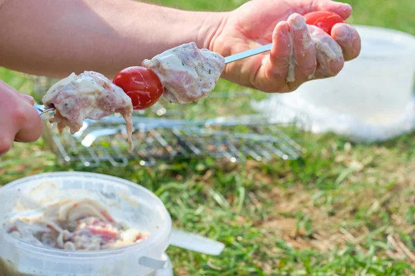 Spiedino alla griglia con carne e verdure in natura — Foto Stock