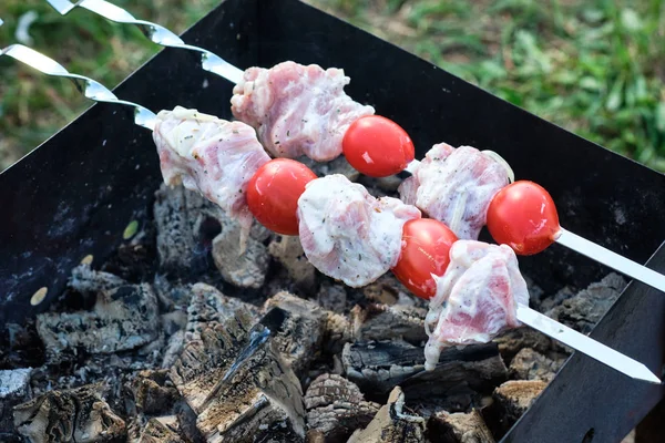 Szaszłyka grillowa z mięsem i warzywami w przyrodzie — Zdjęcie stockowe