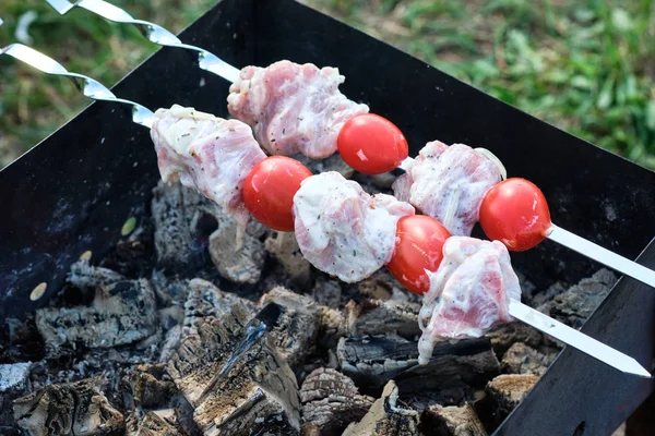 Broche à griller avec viande et légumes dans la nature — Photo