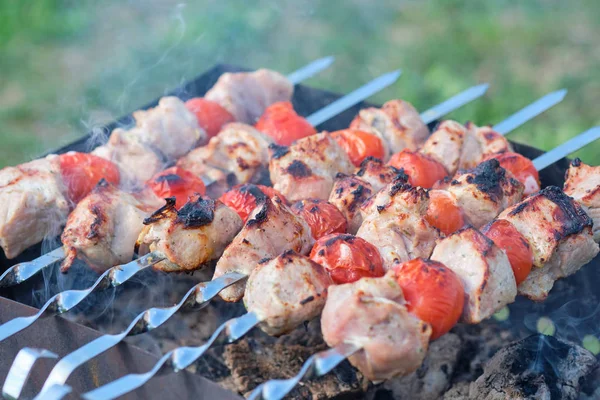 Spiedino alla griglia con carne e verdure in natura — Foto Stock