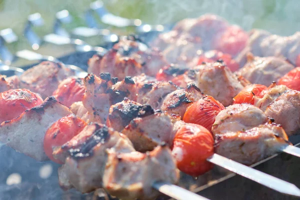 Spiedino alla griglia con carne e verdure in natura — Foto Stock