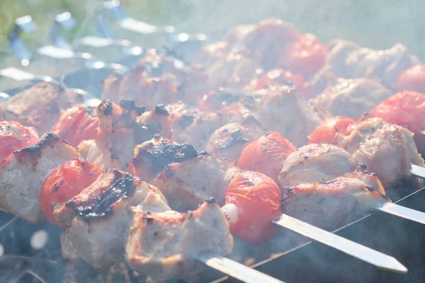 Spiedino alla griglia con carne e verdure in natura — Foto Stock