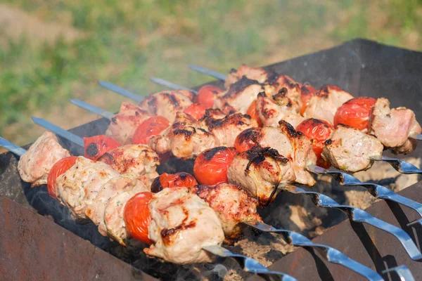 Spiedino alla griglia con carne e verdure in natura — Foto Stock