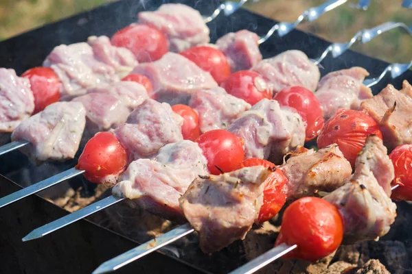 Spiedino alla griglia con carne e verdure in natura — Foto Stock