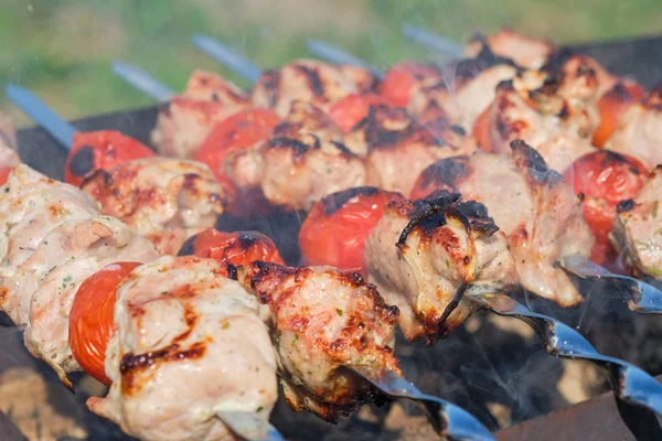 Spiedino alla griglia con carne e verdure in natura — Foto Stock