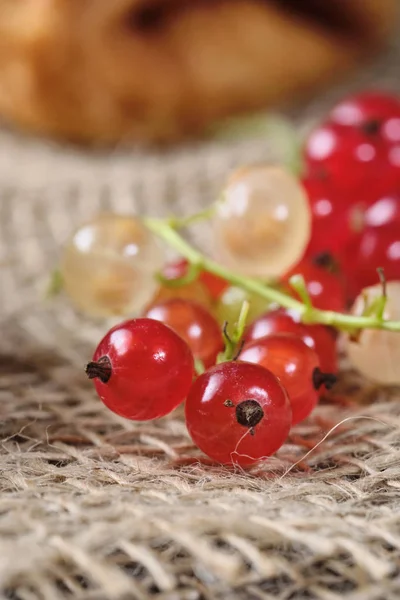 Soezen Met Bessenvulling Met Takjes Verse Rode Witte Aalbessen Jute — Stockfoto