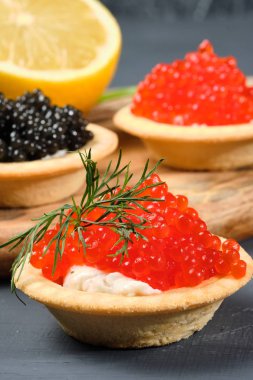 gri bir arka plan üzerinde limon ve otlar ile ahşap bir tahta üzerinde kırmızı ve siyah havyar ile tartlets. Close