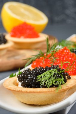 gri bir arka plan üzerinde limon ile beyaz bir tabak üzerinde kırmızı ve siyah havyar ile tartlets. Close