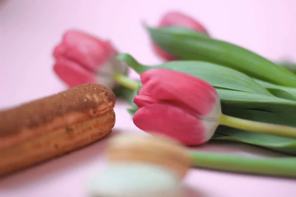 Розовые Тюльпаны Розовом Фоне — стоковое фото