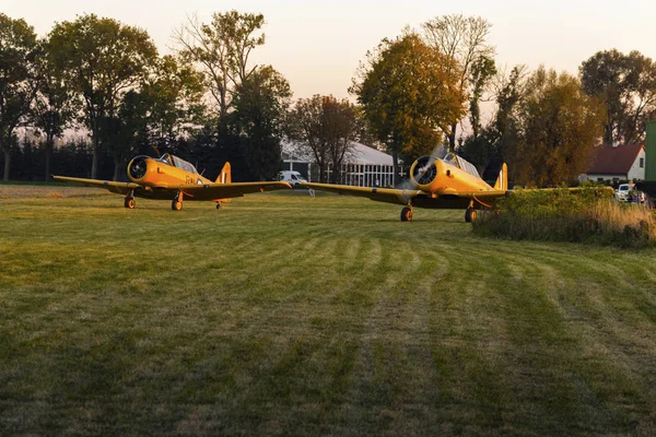 İki sarı uçak pred al yeşil çimenli havaalanında çekilin