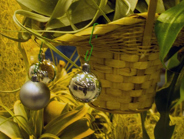 Noel Topları Bir Saksıyı Üzerinde — Stok fotoğraf