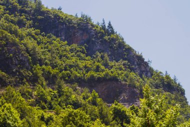Dağ manzarası. Dağlardaki orman, mavi gökyüzüne karşı. Güney ülkelerine seyahat
