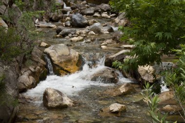 Alanya dağlarında kanyon ve şelaleler, Türkiye, Sapadere. Th güzel bir yolculuk