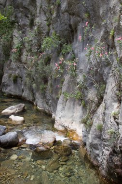 Alanya dağlarında kanyon ve şelaleler, Türkiye, Sapadere. Th güzel bir yolculuk