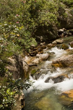 Alanya dağlarında kanyon ve şelaleler, Türkiye, Sapadere. Th güzel bir yolculuk