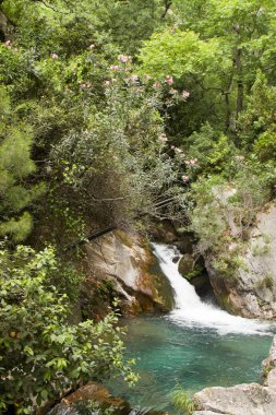 Alanya dağlarında kanyon ve şelaleler, Türkiye, Sapadere. Th güzel bir yolculuk
