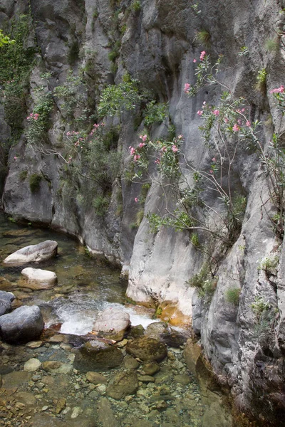 Alanya dağlarında kanyon ve şelaleler, Türkiye, Sapadere. Th güzel bir yolculuk