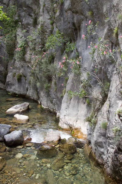 Alanya dağlarında kanyon ve şelaleler, Türkiye, Sapadere. Th güzel bir yolculuk
