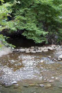 Dağ nehrinin hızlı akışı. Taşlar arasındaki su akışı. Dar bir dağ nehrinde rapids