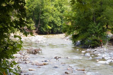 Dağ nehrinin hızlı akışı. Taşlar arasındaki su akışı. Dar bir dağ nehrinde rapids