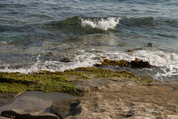 Costa Rocciosa Del Mar Mediterraneo Vento Onde Spiaggia Deserta Una — Foto Stock