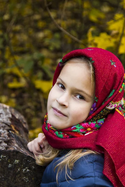 beautiful girl in a bright red scarf.  Portrait of a girl with brown eyes in an old Russian scarf on the background of autumn. Photo shoot