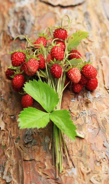 Wild strawberries grow in the forest. Forest red berry grows in the grass. We collect wild strawberries in the forest.