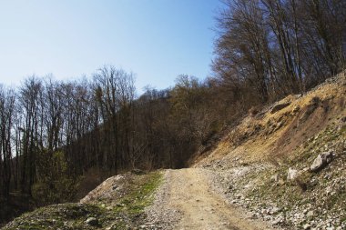 Dağların arasında bir patika. Dağlara giden yol. Taşlı yol