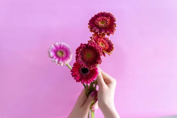 image of a girl holding a flower in her hands on a pink background
