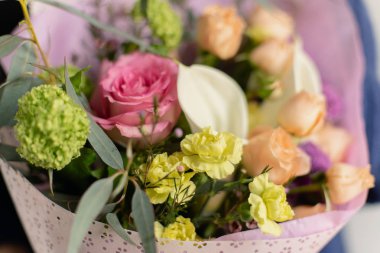 görüntü gri bir arka plan üzerinde onun elinde bir çiçek tutan bir kız