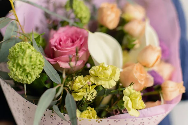 görüntü gri bir arka plan üzerinde onun elinde bir çiçek tutan bir kız