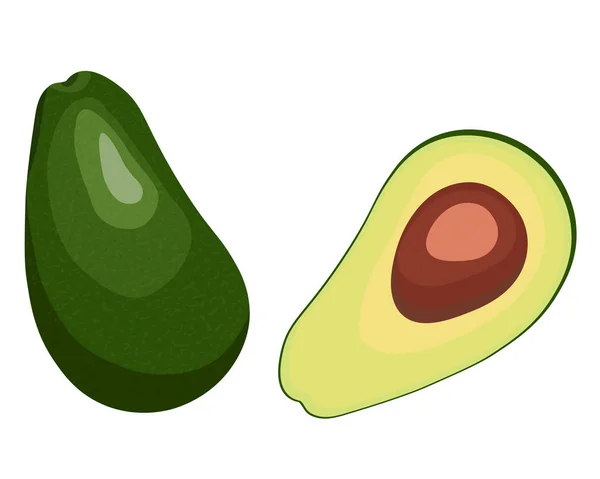 Olgun avokado meyve düz vektör çizim. Bütün avokado ve vegan ve organik çiğ gıda için beyaz arka plan üzerinde kemik yarısıyla