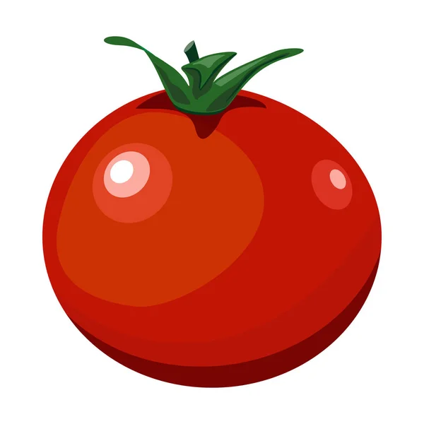 izole kırmızı domates düz vektör çizim küçük sanat simge görüntüsünü beyaz arka plan üzerinde