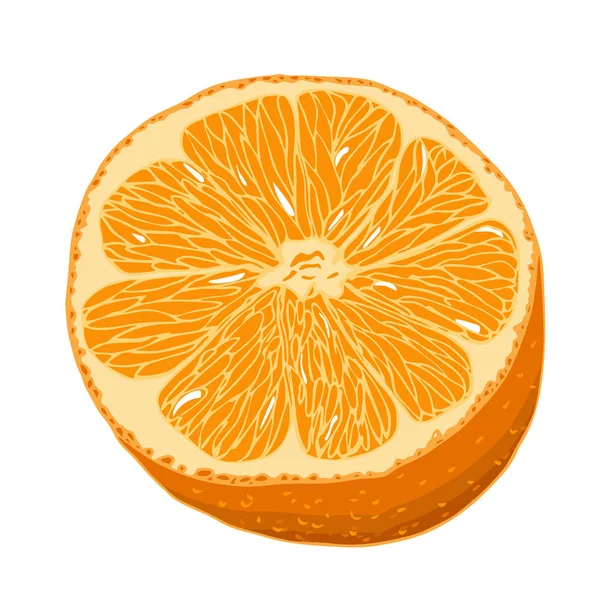 Metade Uma Laranja Isolada Fundo Branco Suculento Fruta Fresca Vetor — Vetor de Stock