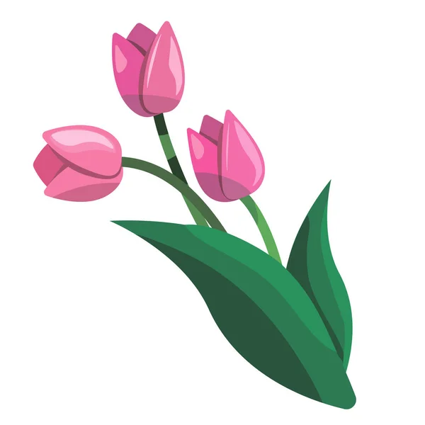 Lindo Ramo Tulipanes Rosados Diseño Tarjeta Felicitación Día Internacional Mujer Ilustración de stock