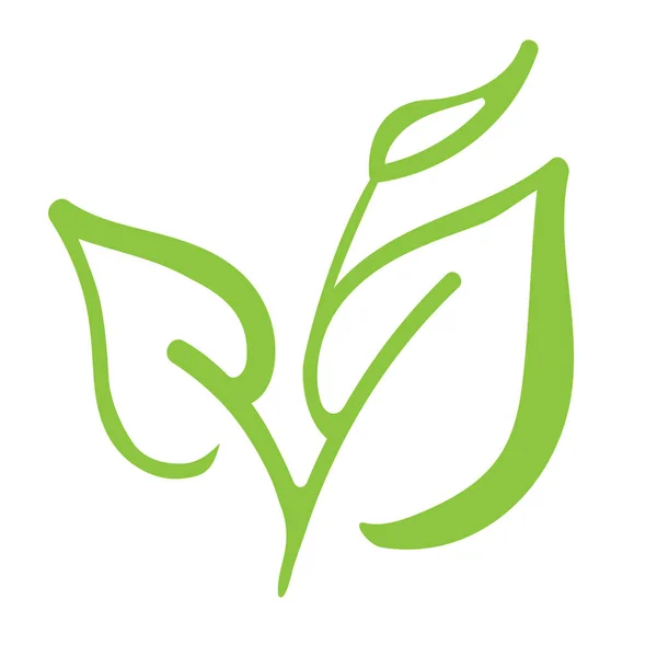 çay simgesi logo vektör çizim beyaz zemin üzerine yeşil yaprakları