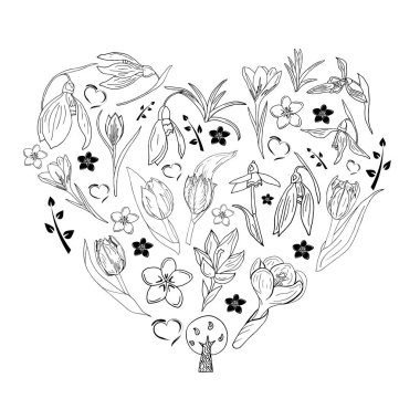 Romantik çiçek bahar çiçekler koleksiyonu. El çizilmiş doodle Zen sanat deseni. lale, Crocus, Snowdrop, Verdure vektör illüstrasyon