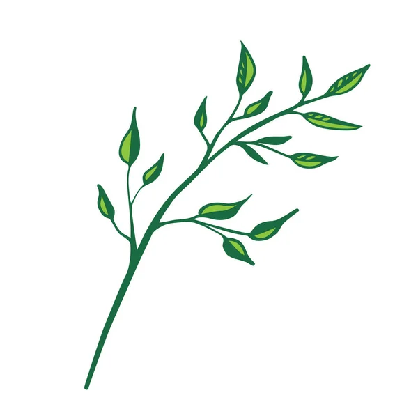 beyaz düz illüstrasyon izole vektör yeşil şube