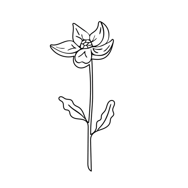 Bílém Pozadí Vykreslen Květina Umění Minimalistické Kontury Kreslení Čar Izolované — Stockový vektor