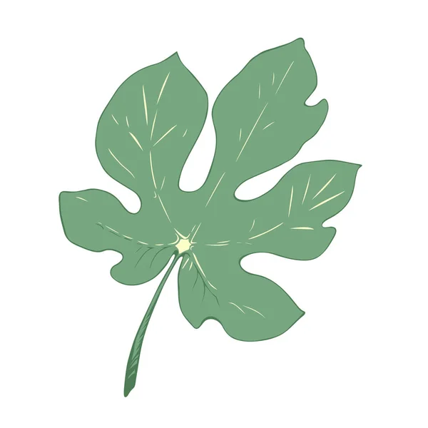Φύλλο Συκής Που Απομονώνονται Λευκό Φόντο Διανυσματικά Εικονογράφηση Πράσινο Φύλλο — Διανυσματικό Αρχείο