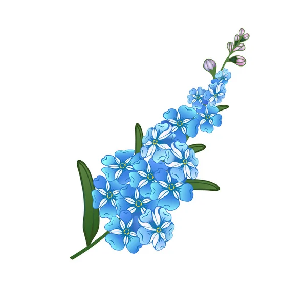 Olvídate Ramita Ilustración Vector Flores Decorativas Dibujadas Azules — Archivo Imágenes Vectoriales