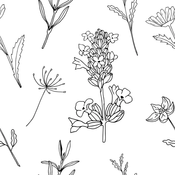 Nahtlose Muster Floralen Monochromen Lavendel Blume Gras Vektor Illustration Schwarzer — Stockvektor