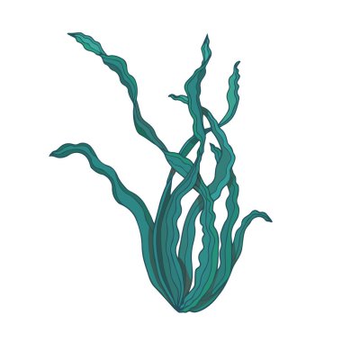 Seaweeds vektör illüstrasyon simgesi görüntü. Sualtı yosun Kelp, su deniz yosun bitki simge vektör Illüstrasyon