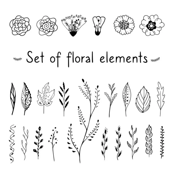 Sevimli çiçekler, dallar, sprigs ve beyaz arka plan üzerinde siyah yaprakları ile çiçek elemanları Monokrom seti. Fırçalar ve desenler için öğeler.