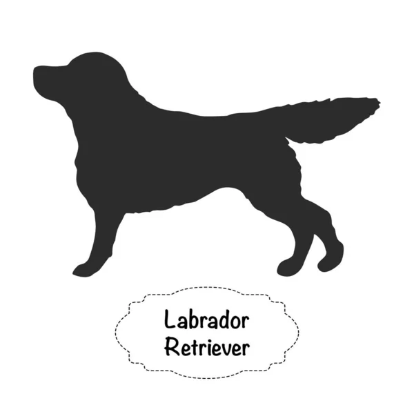 Beyaz arka plan üzerinde Labrador Retriever vektör izole siluet.